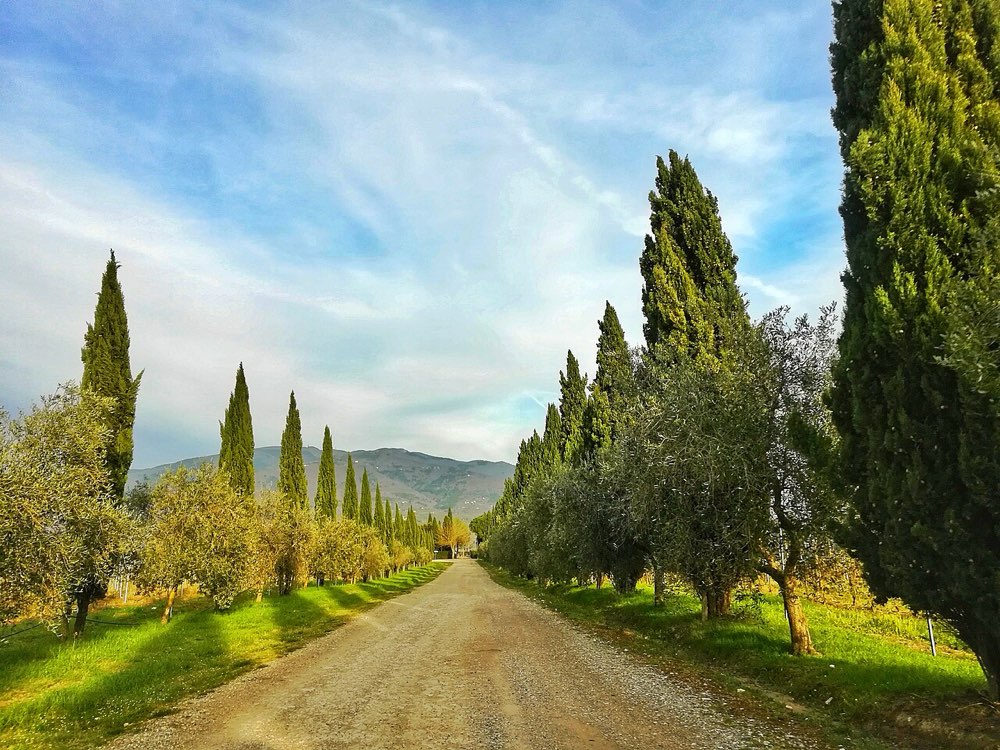 A quiet road through the Tuscan countryside in Italy